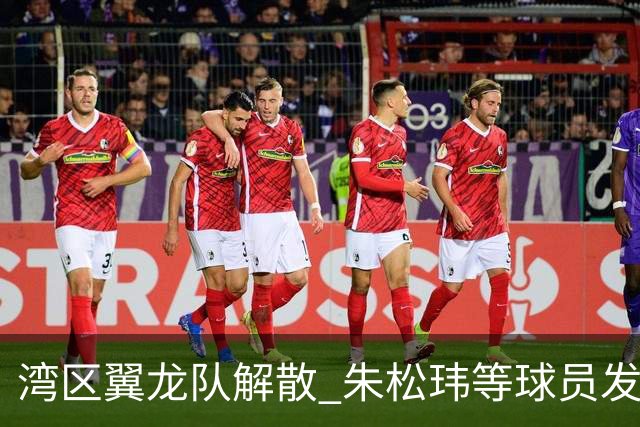 湾区翼龙队解散 朱松玮等球员发布声明维权